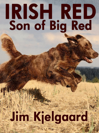 Jim  Kjelgaard - Irish Red, Son of Big Red