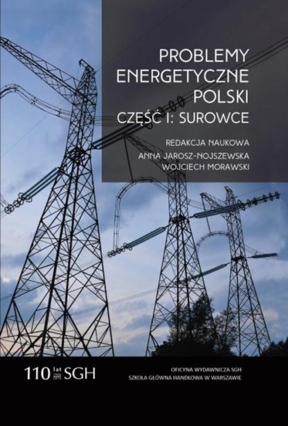 Группа авторов - Problemy energetyczne Polski. Część I. Surowce