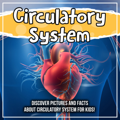 

Circulatory System: Discover Pictures and Facts About Circulatory System For Kids!