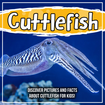 

Cuttlefish: Discover Pictures and Facts About Cuttlefish For Kids!