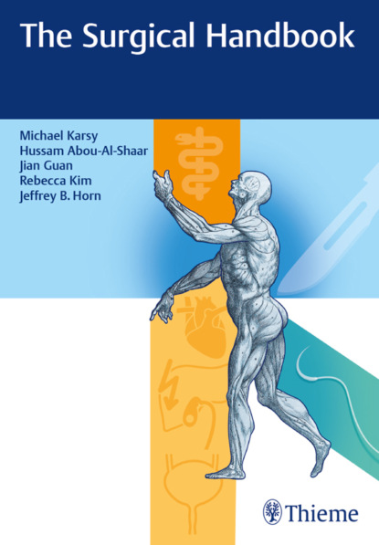 Michael Karsy - The Surgical Handbook