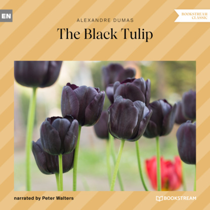 Alexandre Dumas - The Black Tulip (Unabridged)