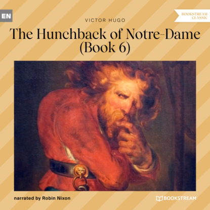 Victor Hugo - The Hunchback of Notre-Dame, Book 6 (Unabridged)