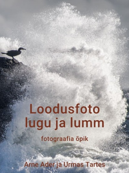Arne Ader - Loodusfoto lugu ja lumm