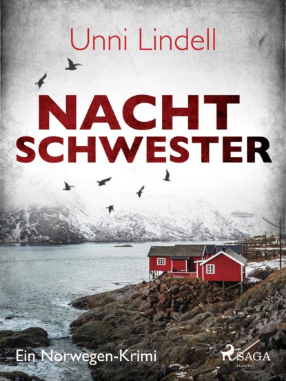 Nachtschwester - Ein Norwegen-Krimi (Unni Lindell). 