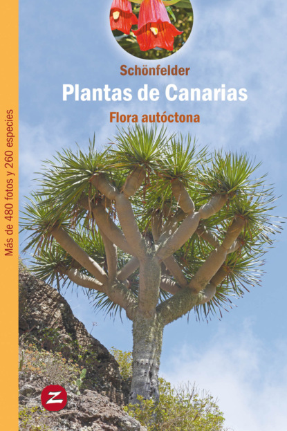 Peter Schönfelder - Plantas de Canarias