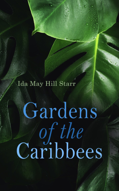 Ida May Hill Starr - Gardens of the Caribbees