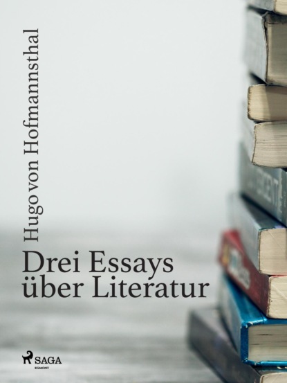 Drei Essays über Literatur