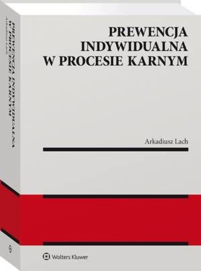 

Prewencja indywidualna w procesie karnym