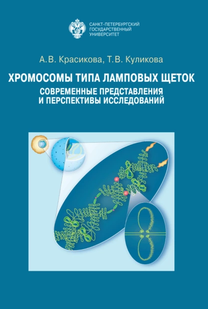 Обложка книги Хромосомы типа ламповых щеток. Современные представления и перспективы исследований, А. В. Красикова