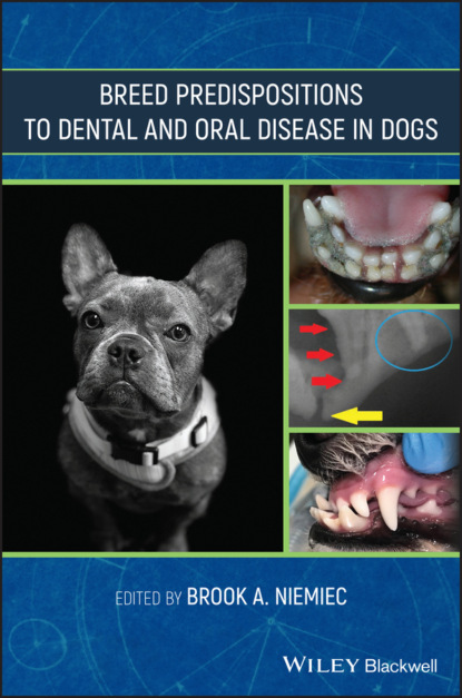 Группа авторов - Breed Predispositions to Dental and Oral Disease in Dogs