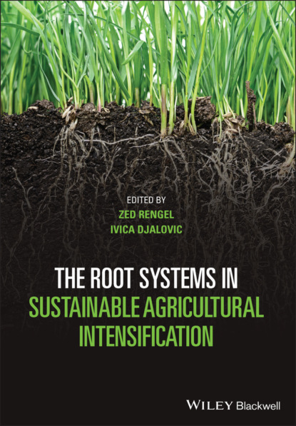 Группа авторов - The Root Systems in Sustainable Agricultural Intensification