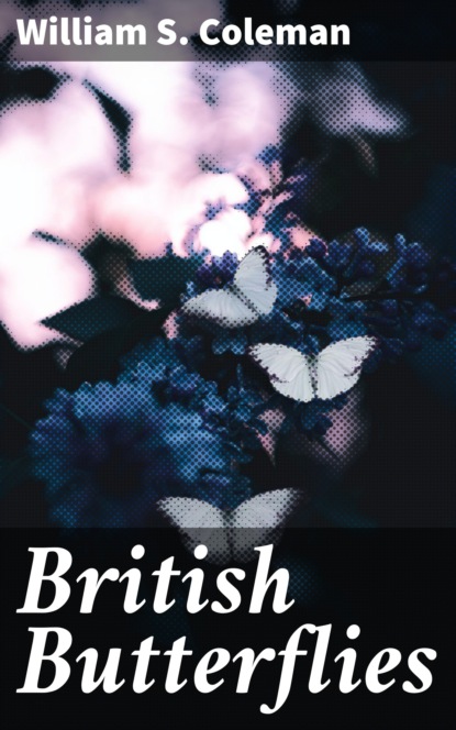 

British Butterflies