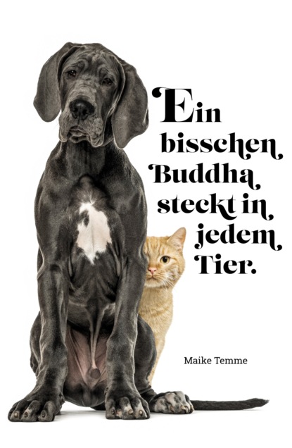

Ein bisschen Buddha steckt in jedem Tier