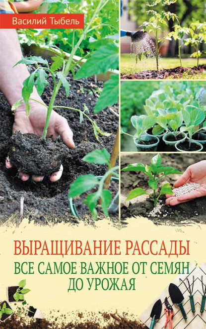 Василий Васильевич Тыбель - Выращивание рассады. Все самое важное от семян до урожая