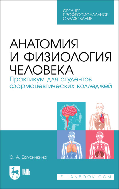 Анатомия и физиология человека. Практикум для студентов фармацевтических колледжей (О. А. Брусникина). 