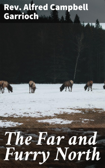 

The Far and Furry North