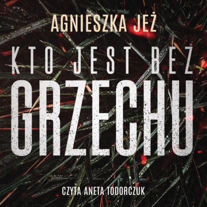 

Kto jest bez grzechu