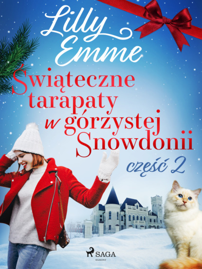 

Świąteczne tarapaty w górzystej Snowdonii - część 2