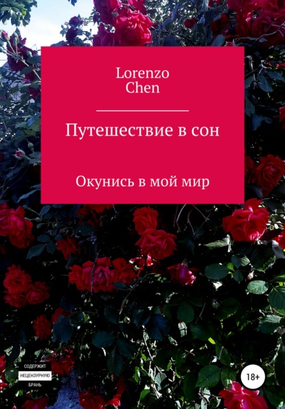 

Путешествие в сон