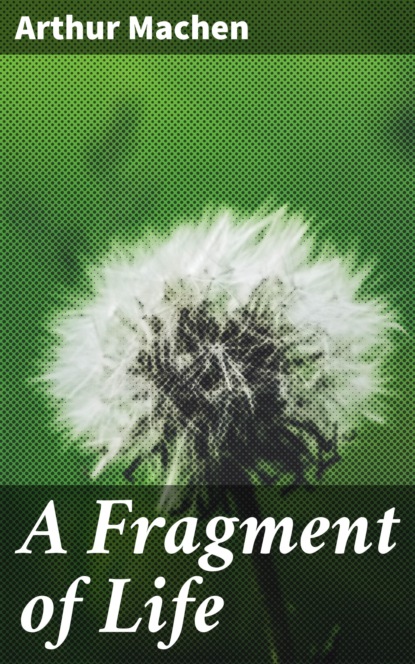 

A Fragment of Life