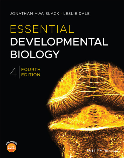 Essential Developmental Biology