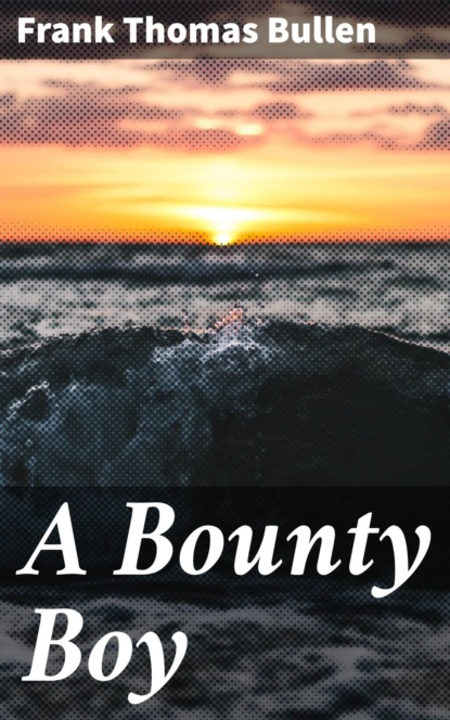 

A Bounty Boy