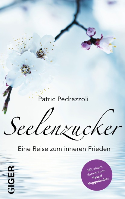 Seelenzucker - Patric Pedrazzoli
