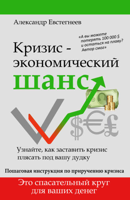 Александр Евстегнеев — Кризис: экономический шанс