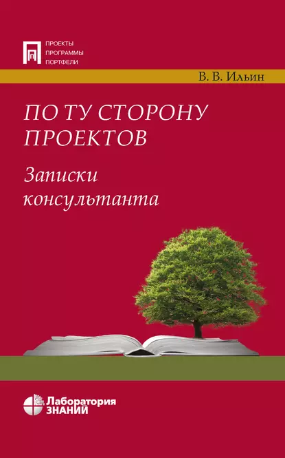 Обложка книги По ту сторону проектов. Записки консультанта, В. В. Ильин