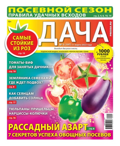 Дача Pressa.ru 05-2022