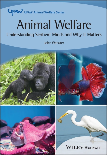 Обложка книги Animal Welfare, John  Webster