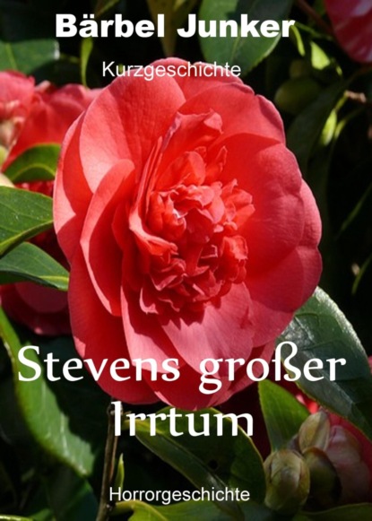 Stevens großer Irrtum (Bärbel Junker). 