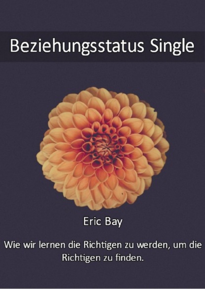 Beziehungsstatus Single (Eric Bay). 