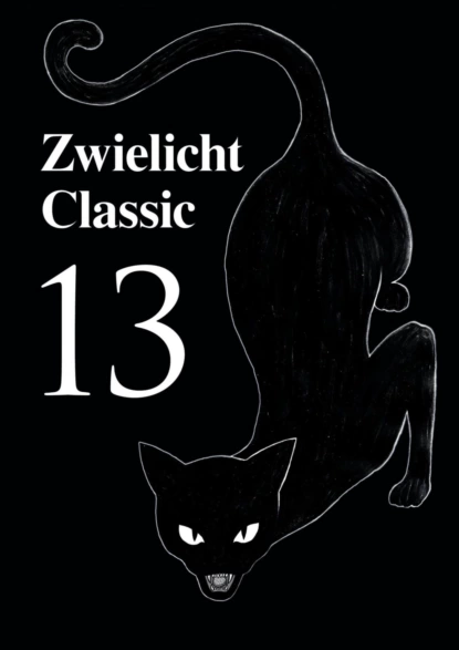 Обложка книги Zwielicht Classic 13, Michael Schmidt