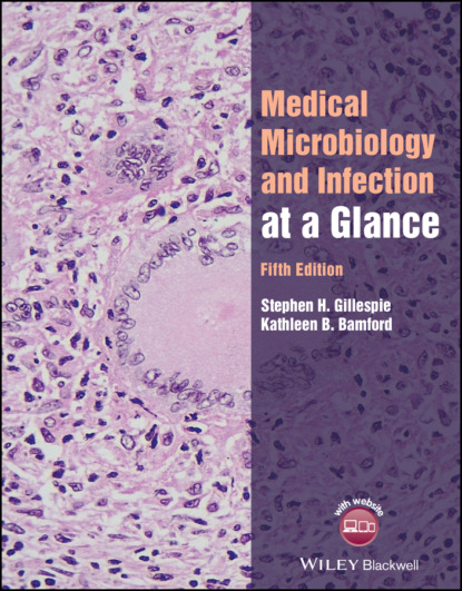 Medical Microbiology and Infection at a Glance - Stephen H. Gillespie