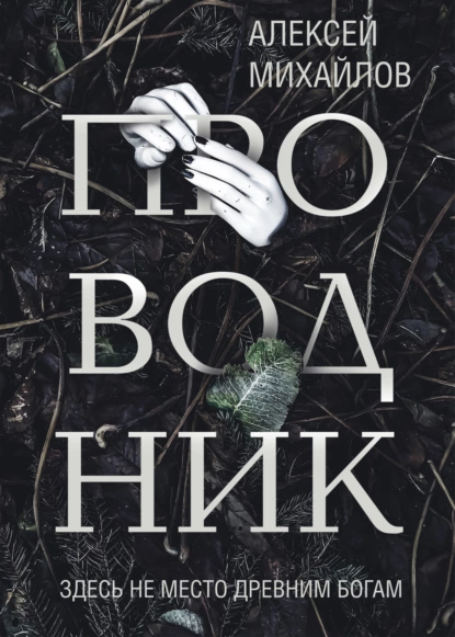 Обложка книги Проводник, Алексей Михайлов