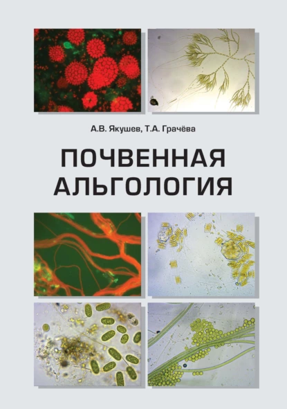 Обложка книги Почвенная альгология. Учебное пособие к курсу лекций и практическим занятиям «Почвенные водоросли», А. В. Якушев