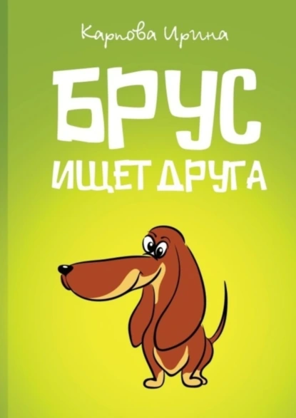 Обложка книги Брус ищет друга, Ирина Карпова