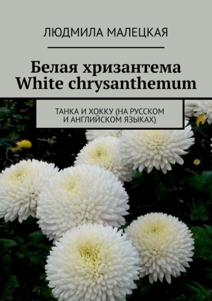  . White chrysanthemum.   (  )