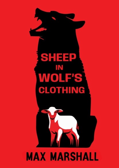 Sheep inWolfs Clothing