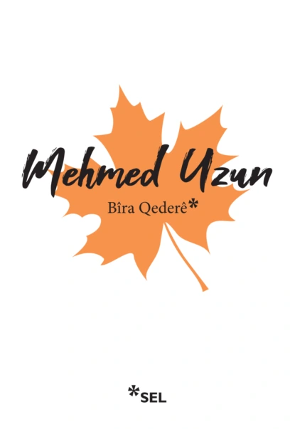 Обложка книги Bîra Qederê, Mehmed Uzun