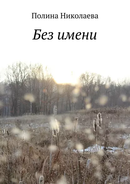 Обложка книги Без имени, Полина Николаева