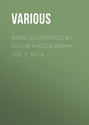 Birds Illustrated by Color Photography Vol 3. No 4.