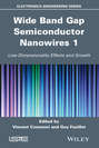 Wide Band Gap Semiconductor Nanowires 1