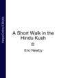 A Short Walk in the Hindu Kush