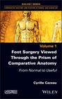 Foot Surgery Viewed Through the Prism of Comparative Anatomy