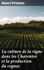 La culture de la vigne dans les Charentes et la production du cognac