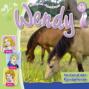 Wendy, Folge 53: Im Land der Fjordpferde