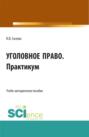 Уголовное право. Практикум. (СПО). Учебно-методическое пособие.